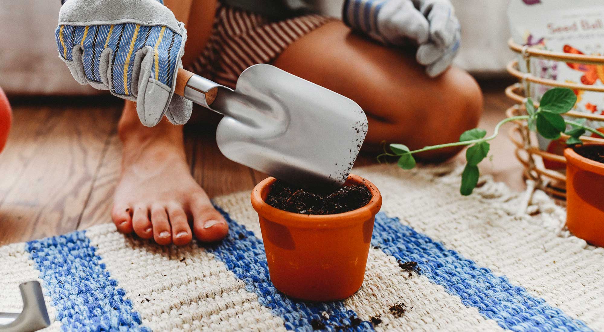 A young boy is planting flowers in a terracotta planter.