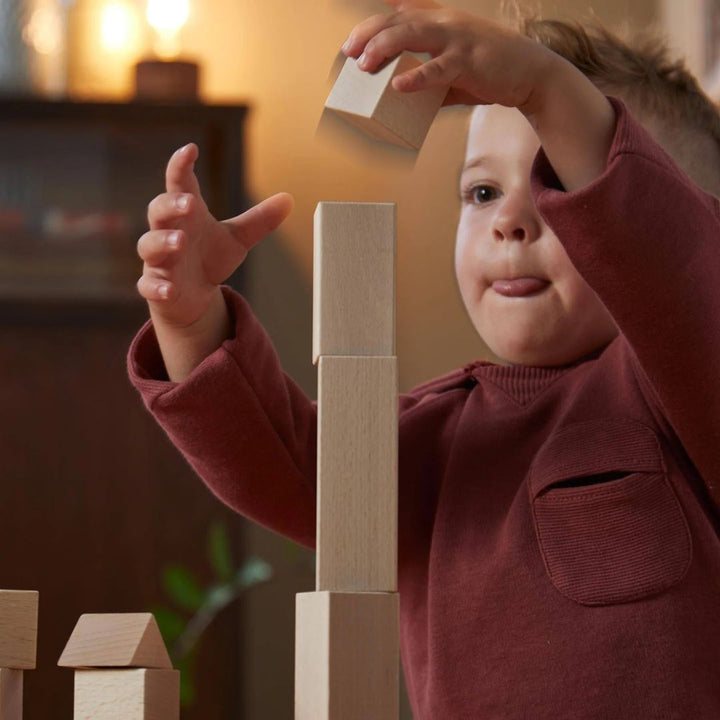 Extra Large Set of Wooden Building Blocks, HABA - Bella Luna Toys