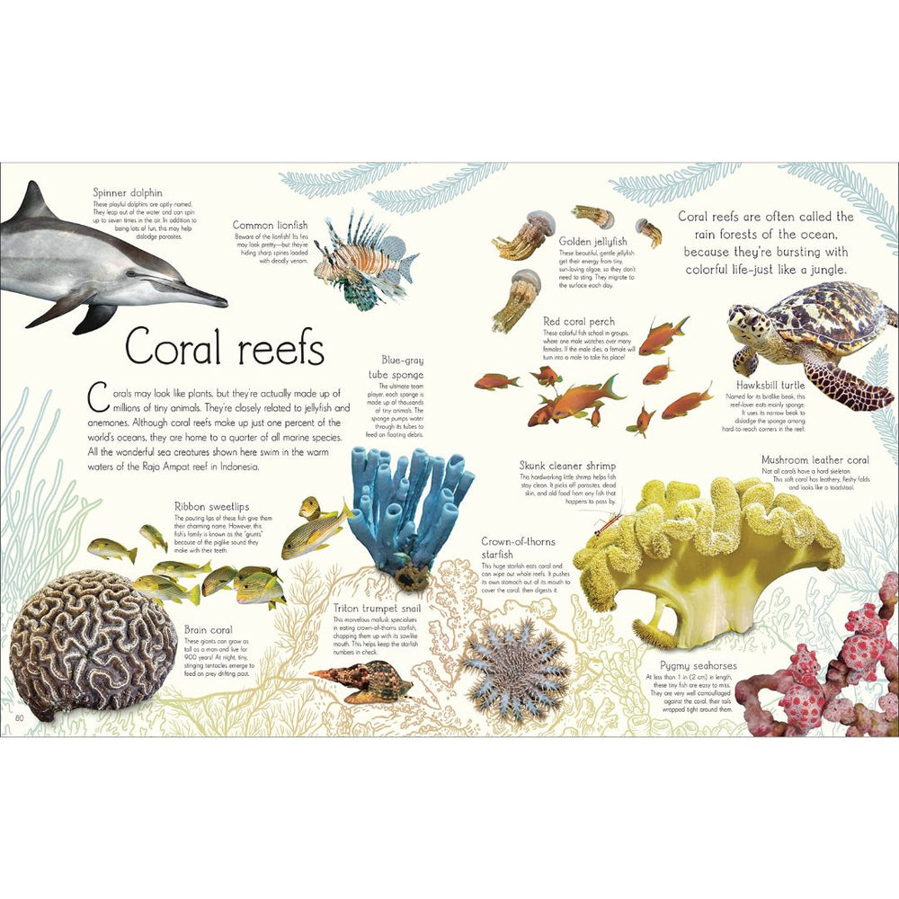 An Anthology Of Aquatic Life- Books- Bella Luna Toys