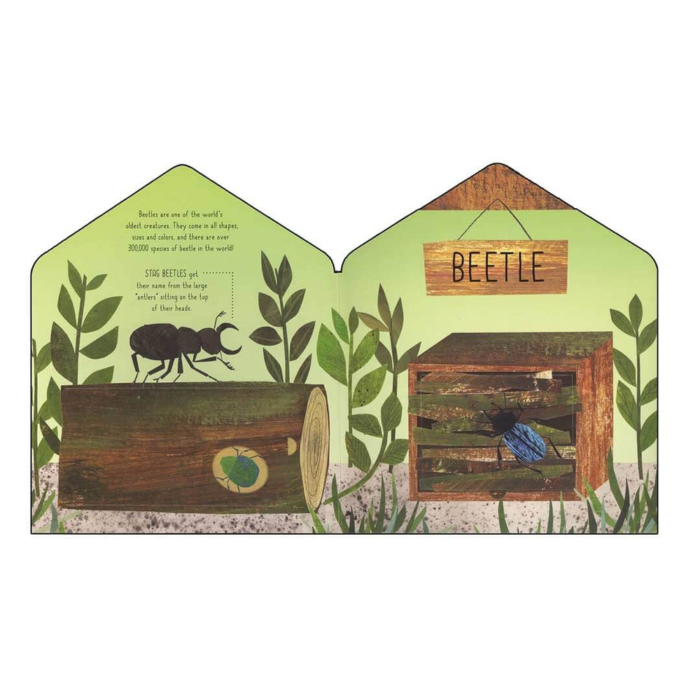 Inside The Bug Hotel book - Beetle