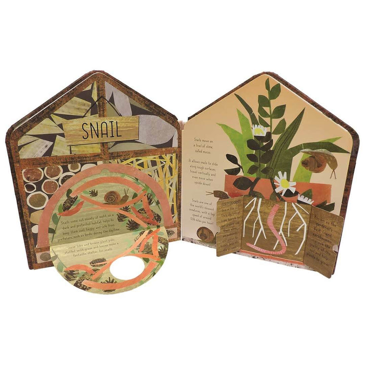 Inside The Bug Hotel Book - Snail