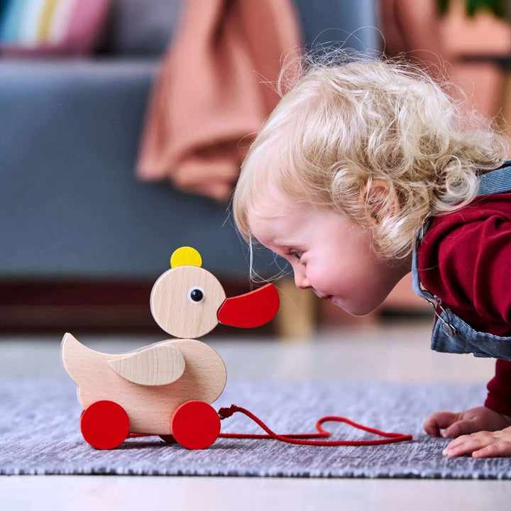 HABA- Child looking at wooden duck waddling toy- Bella Luna Toys