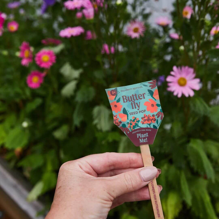 A hand holding the Butterfly Seed Pop in front of a flower garden with pink and purple flowers.