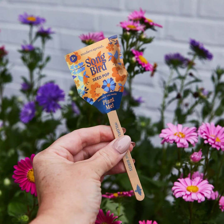 A hand holds the Song Bird Seed Pop in front of a bed of pink and purple flowers.