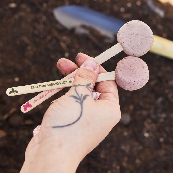 A hand holds two unwrapped wildflower seed pops from Modern Sprout over a garden bed.