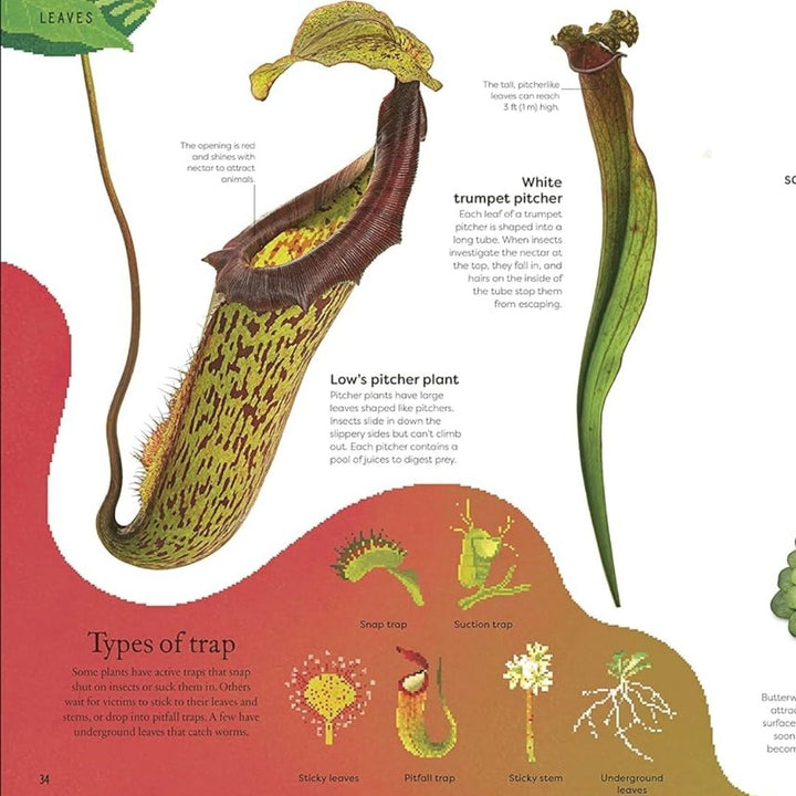 Penguin Random House The Secret World of Plants venus fly trap page- Bella Luna Toys