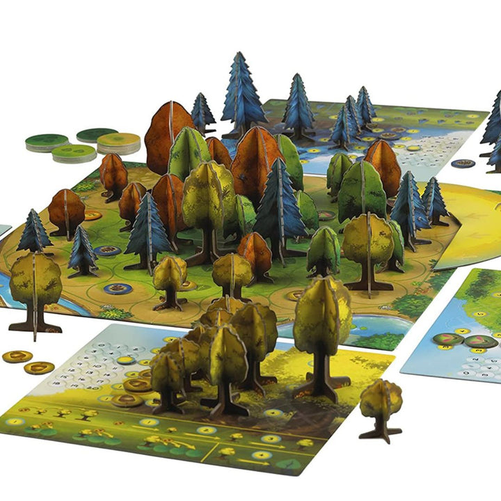 Photosynthesis- Games- Bella Luna Toys