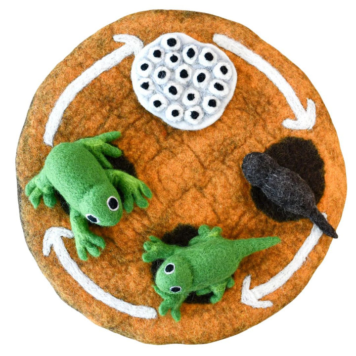 Tara Treasures Felt Lifecycle of a Frog- Learning Toys- Bella Luna Toys