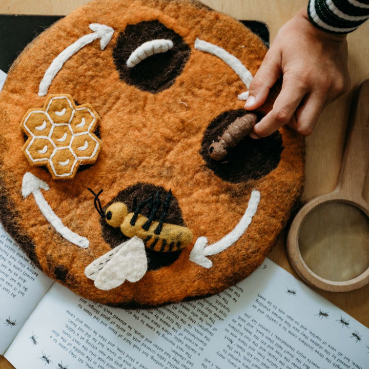 Child playing with Felted Honey Bee Life Stages Set with Playmat