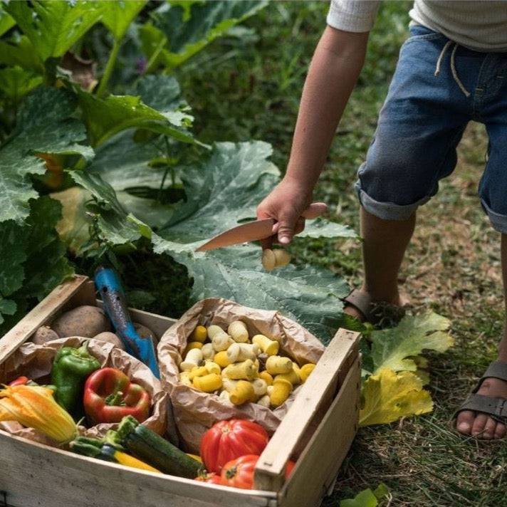 Paper bag full of Grapat Mandala Wooden Tulips in veggie harvest basket outside