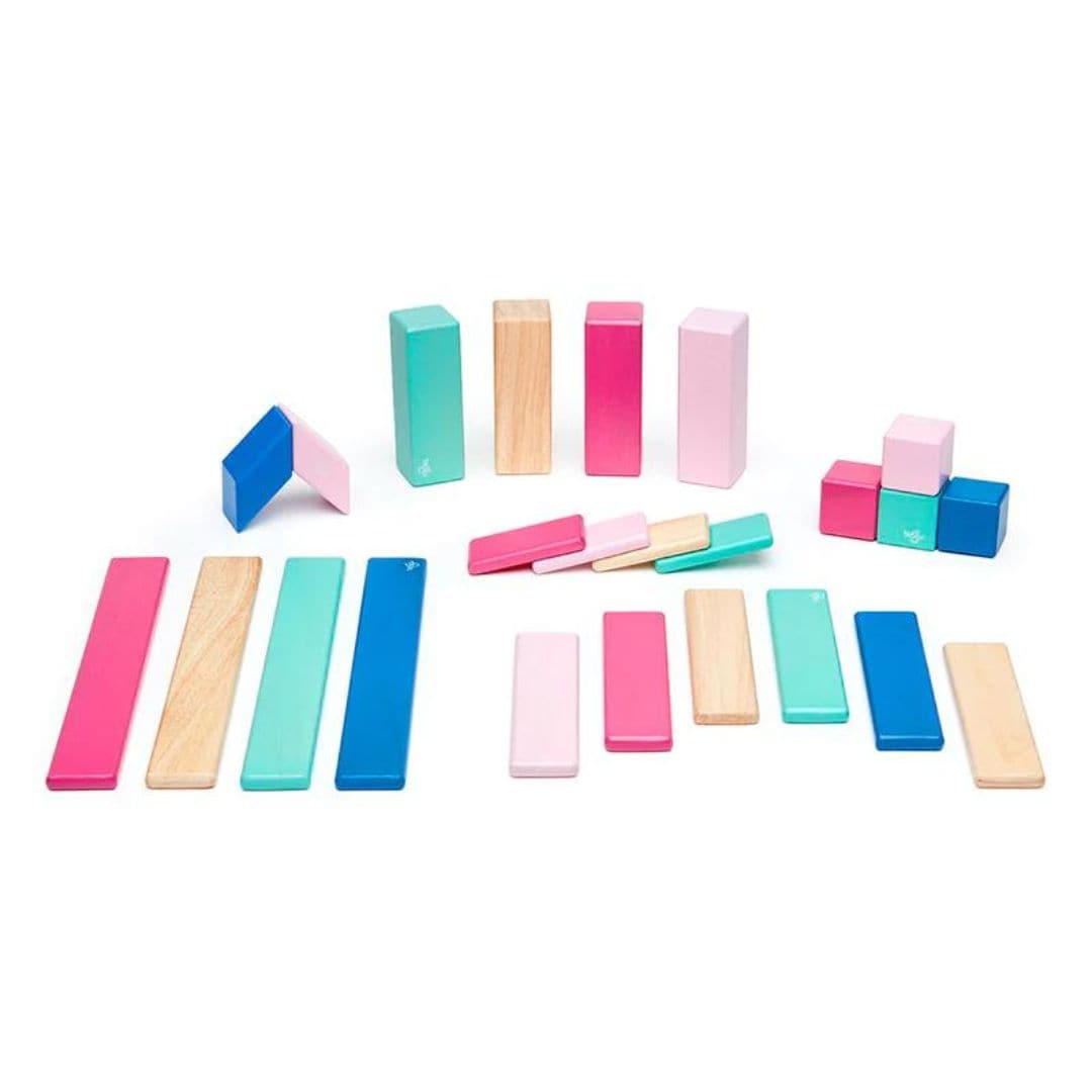 Tegu - 24 pc wooden magnetic blocks - Blossom