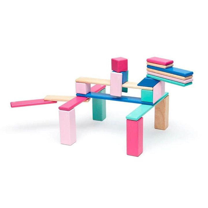 Tegu - 24 pc wooden magnetic blocks - Blossom