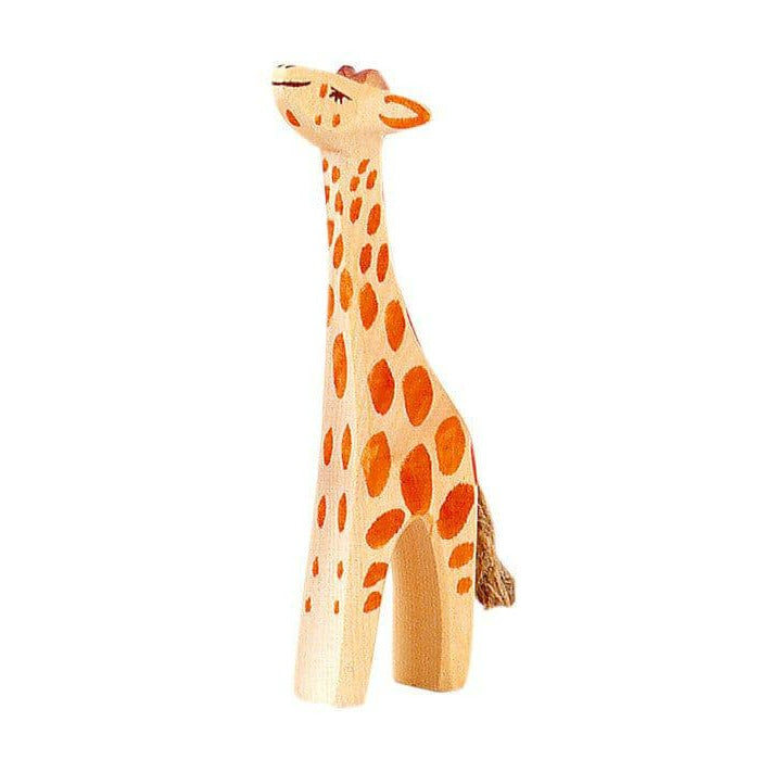 Ostheimer, Giraffe, Small Head High