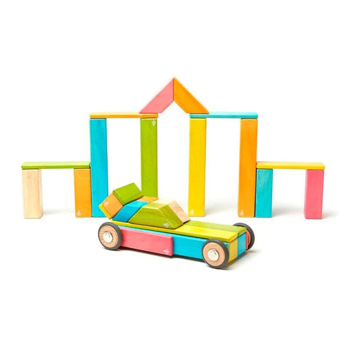 Tegu - 42 piece wooden magnetic block set - Tints