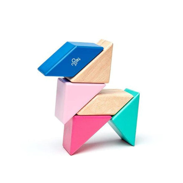 Tegu - Prism Pocket Pouch wooden magnetic blocks travel toy - Blossom